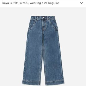 Everlane The Wide Leg Jean 25R